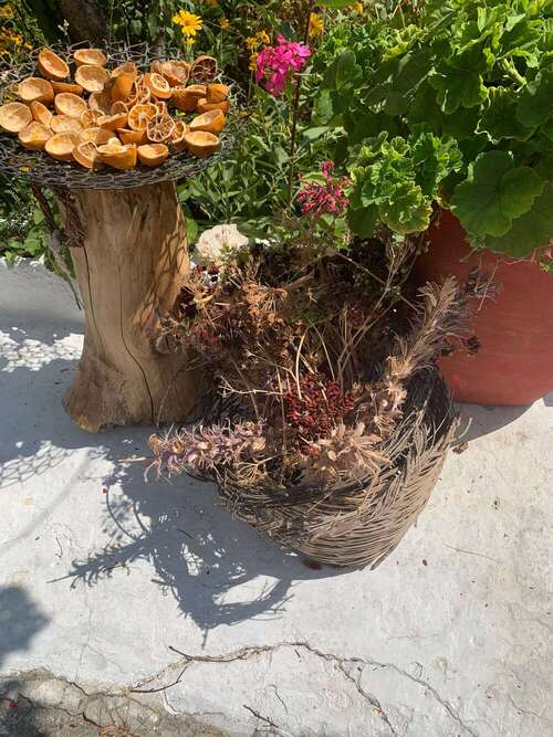 Lieu Immersion Crète (1)