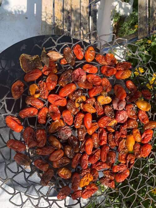 Lieu Immersion Crète (2)