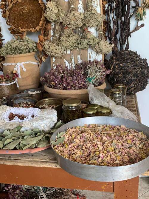 Lieu Immersion Crète (4)